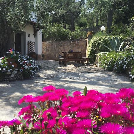 Azienda Agricola B&B Macchiaria Vieste Exterior foto