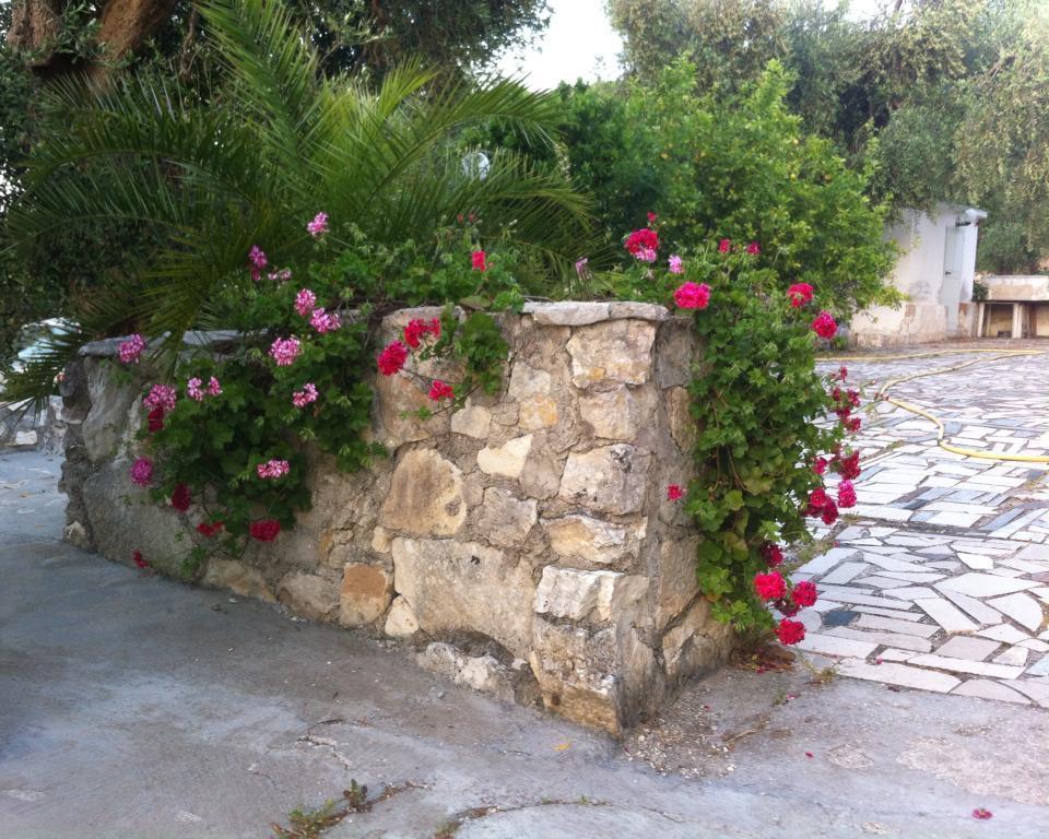 Azienda Agricola B&B Macchiaria Vieste Exterior foto